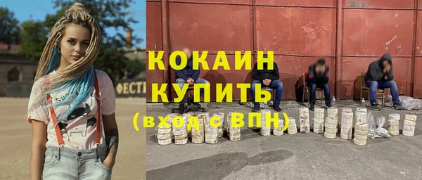 мяу мяу мука Абаза