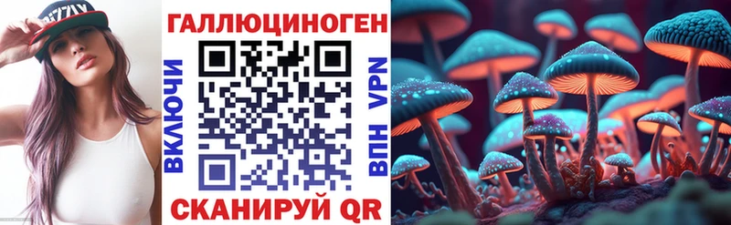 наркота  Трубчевск  Псилоцибиновые грибы прущие грибы 